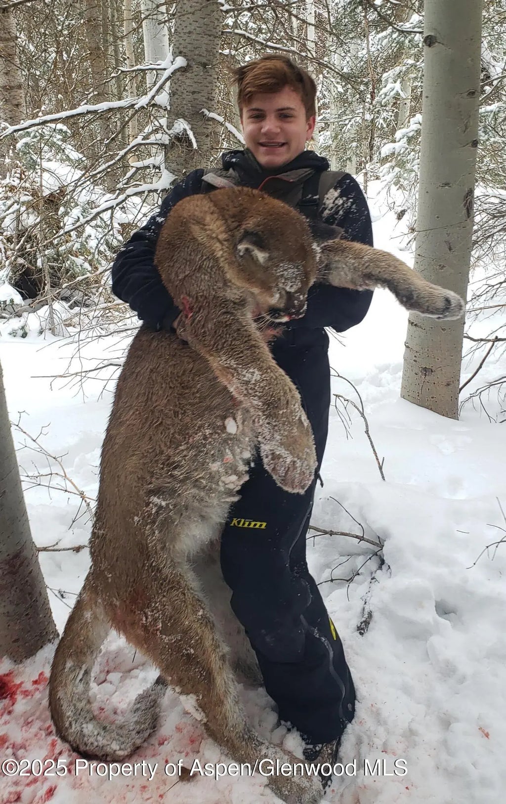 108 of 122 - 943 Routt Forest Drive, Craig, CO