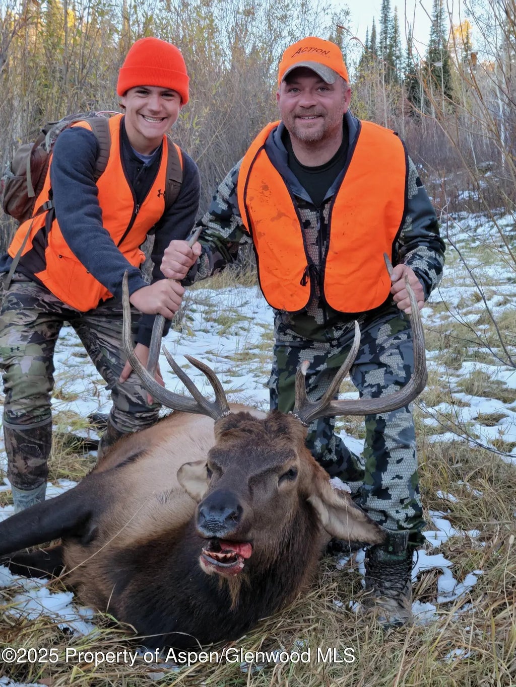 109 of 122 - 943 Routt Forest Drive, Craig, CO