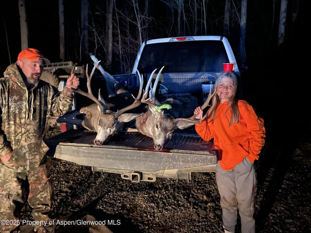 112 of 122 - 943 Routt Forest Drive, Craig, CO