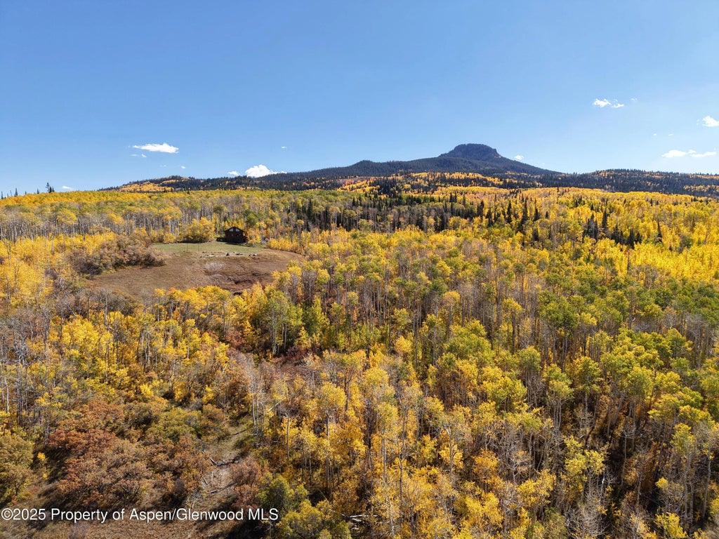 115 of 122 - 943 Routt Forest Drive, Craig, CO