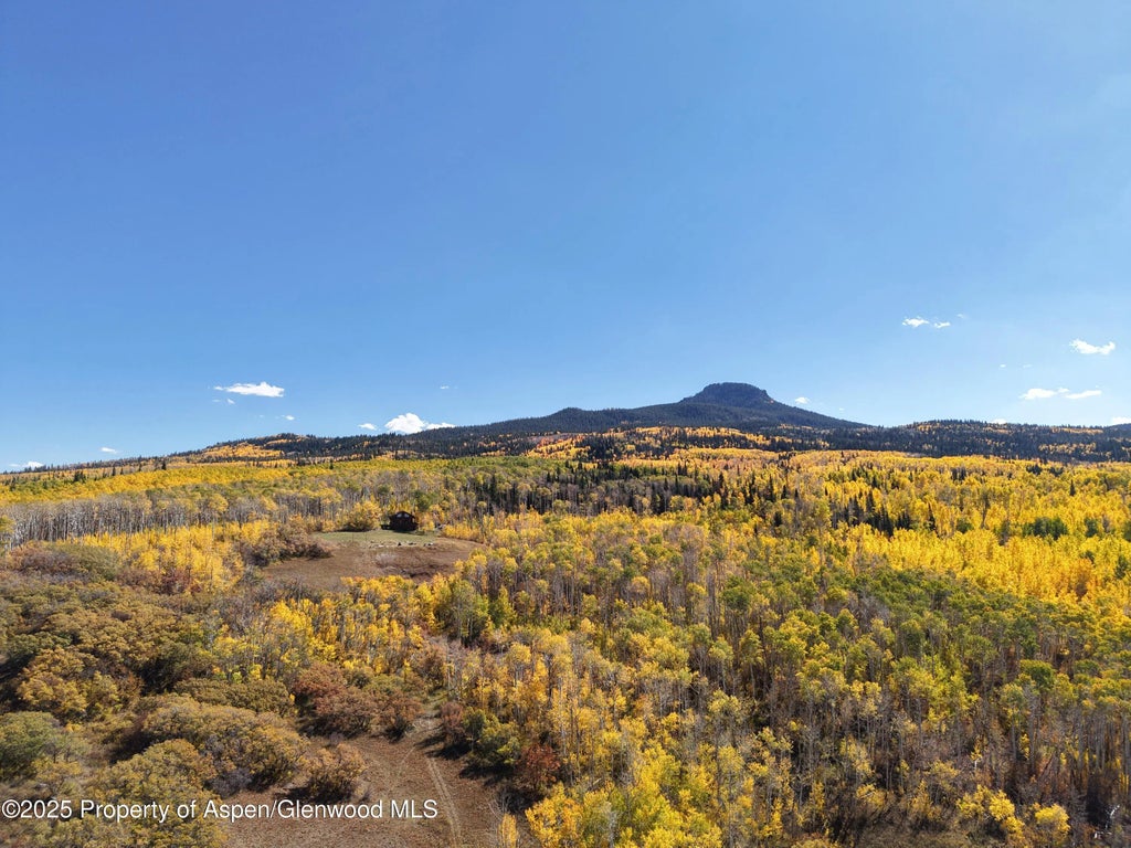 116 of 122 - 943 Routt Forest Drive, Craig, CO