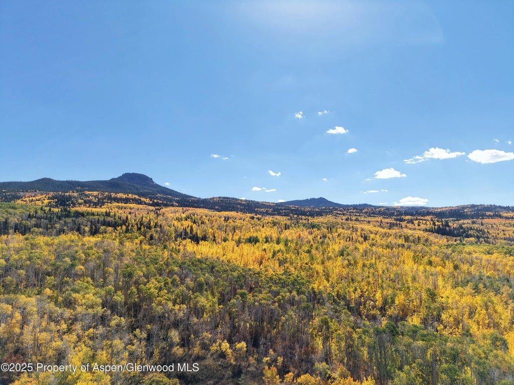 117 of 122 - 943 Routt Forest Drive, Craig, CO