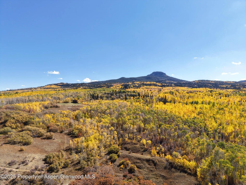 118 of 122 - 943 Routt Forest Drive, Craig, CO