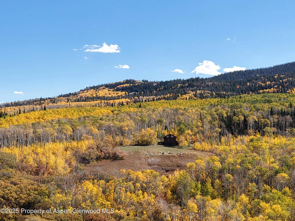 119 of 122 - 943 Routt Forest Drive, Craig, CO