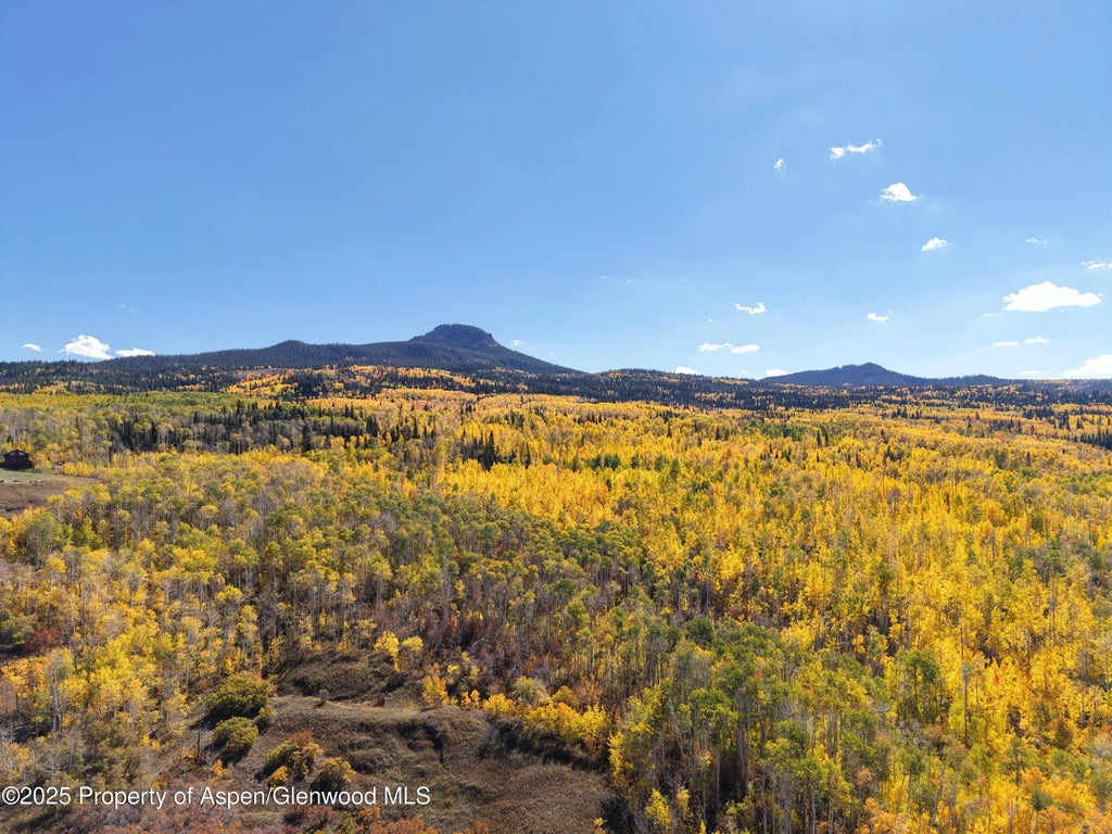 120 of 122 - 943 Routt Forest Drive, Craig, CO