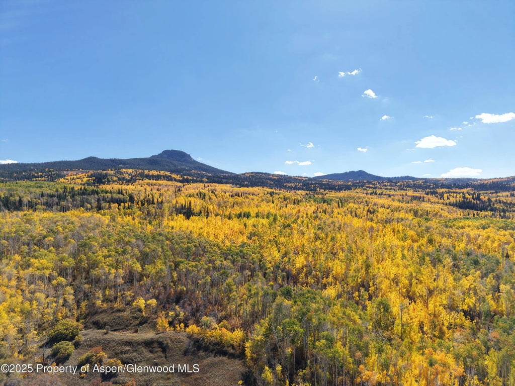 121 of 122 - 943 Routt Forest Drive, Craig, CO