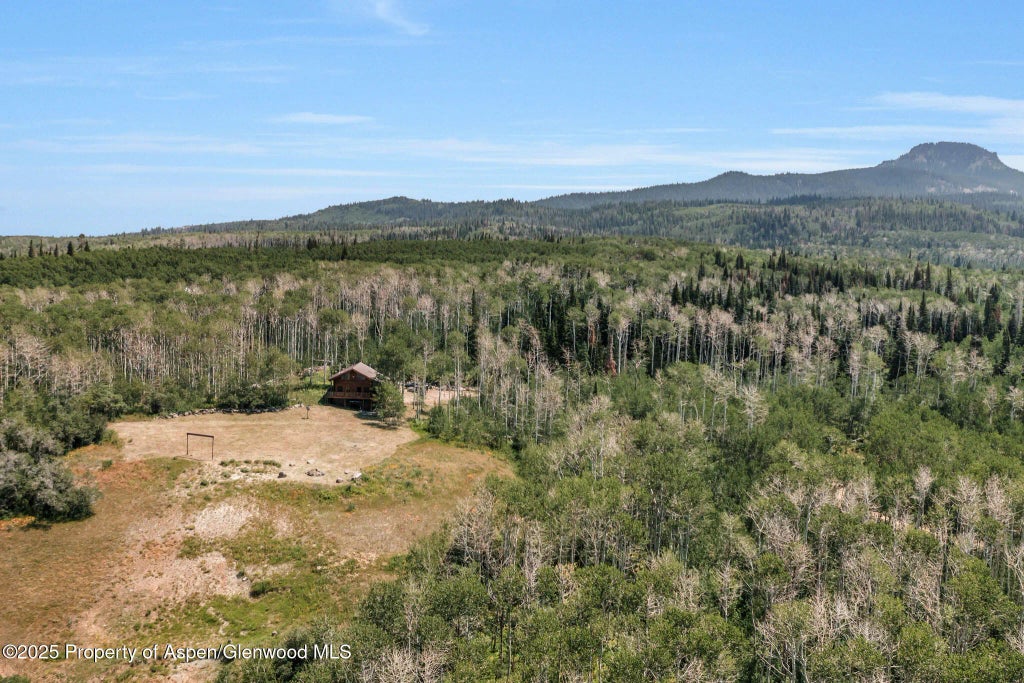 3 of 114 - 943 Routt Forest Drive, Craig, CO