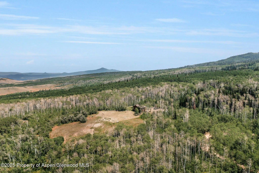 45 of 122 - 943 Routt Forest Drive, Craig, CO