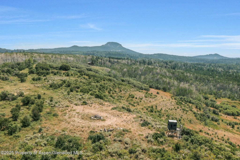 50 of 114 - 943 Routt Forest Drive, Craig, CO
