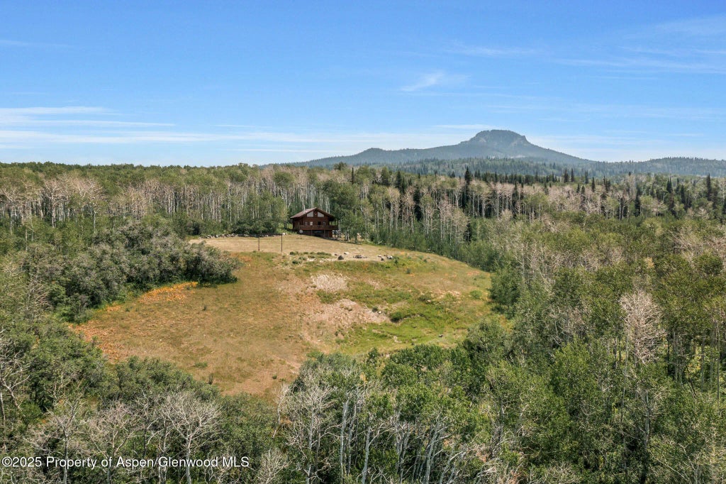 53 of 114 - 943 Routt Forest Drive, Craig, CO