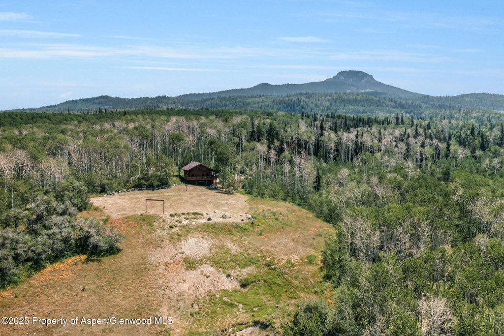 77 of 122 - 943 Routt Forest Drive, Craig, CO