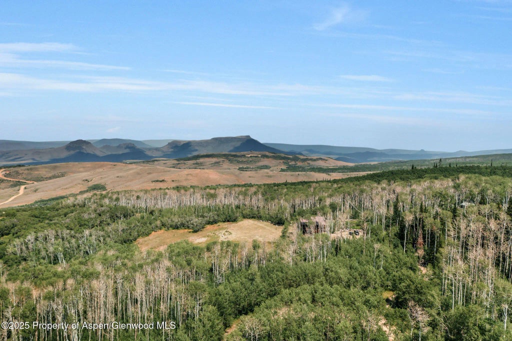 80 of 114 - 943 Routt Forest Drive, Craig, CO