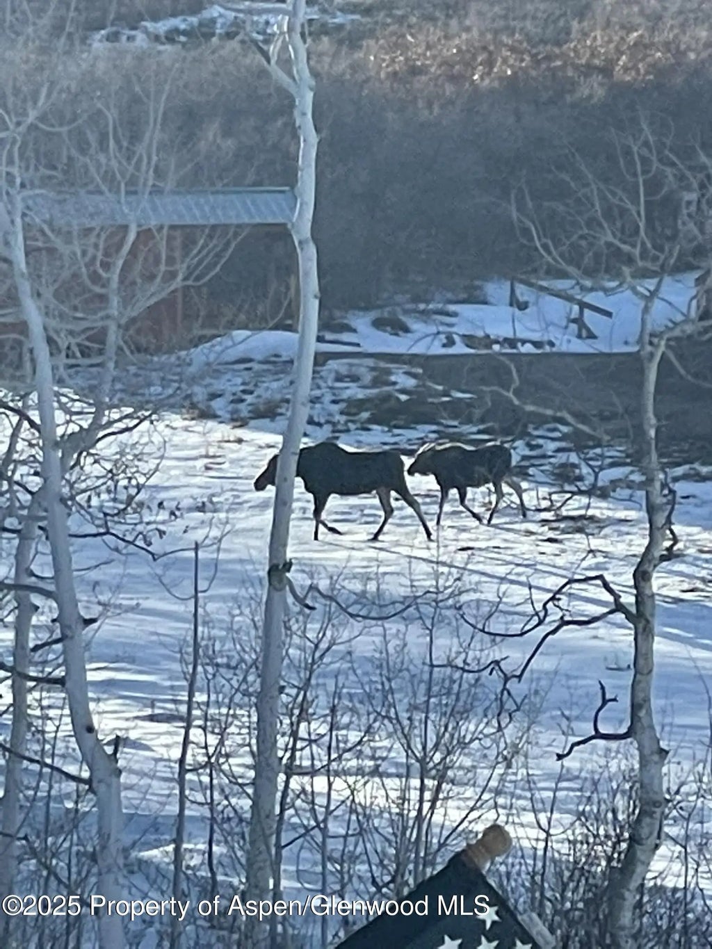 87 of 122 - 943 Routt Forest Drive, Craig, CO