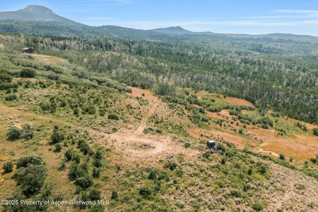 87 of 114 - 943 Routt Forest Drive, Craig, CO