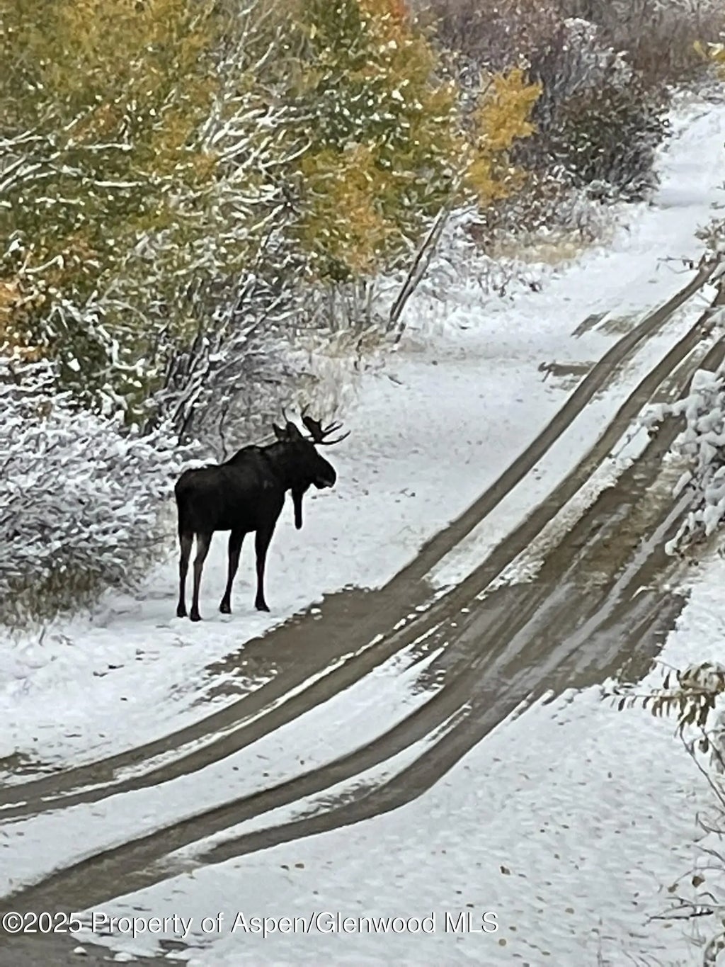 89 of 122 - 943 Routt Forest Drive, Craig, CO
