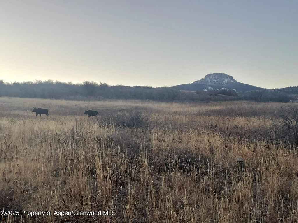 90 of 122 - 943 Routt Forest Drive, Craig, CO