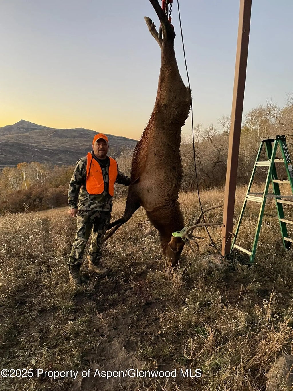 98 of 122 - 943 Routt Forest Drive, Craig, CO