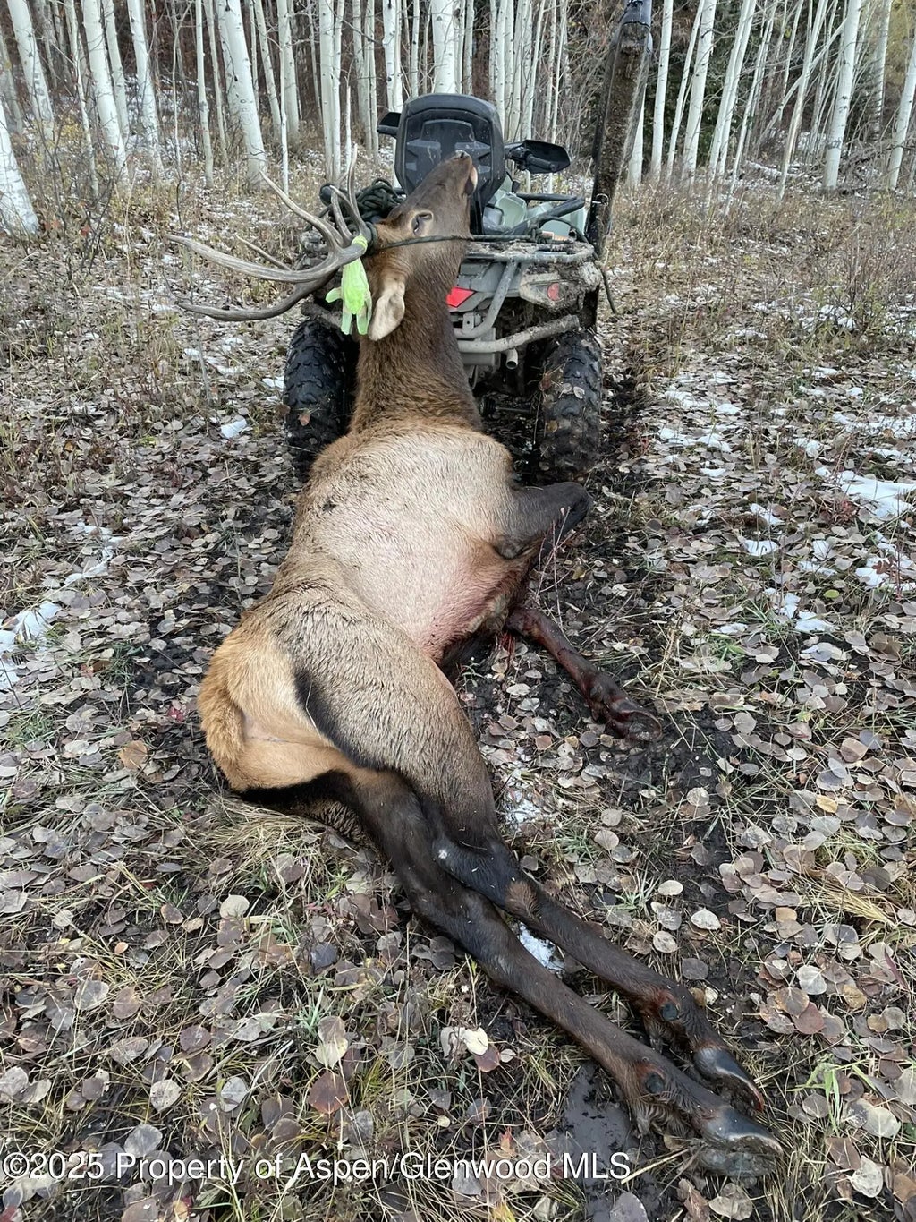 99 of 122 - 943 Routt Forest Drive, Craig, CO