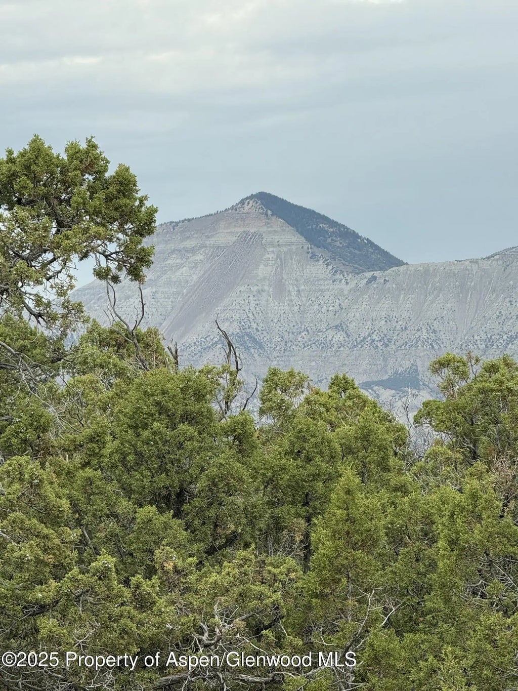 2 of 7 - 2285 Housetop Mountain Road, Parachute, CO