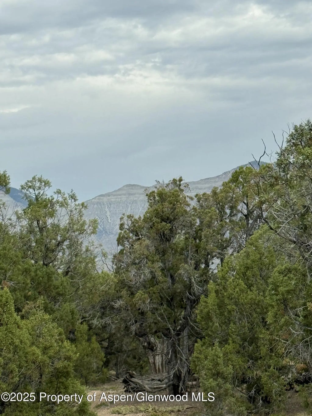 4 of 7 - 2285 Housetop Mountain Road, Parachute, CO