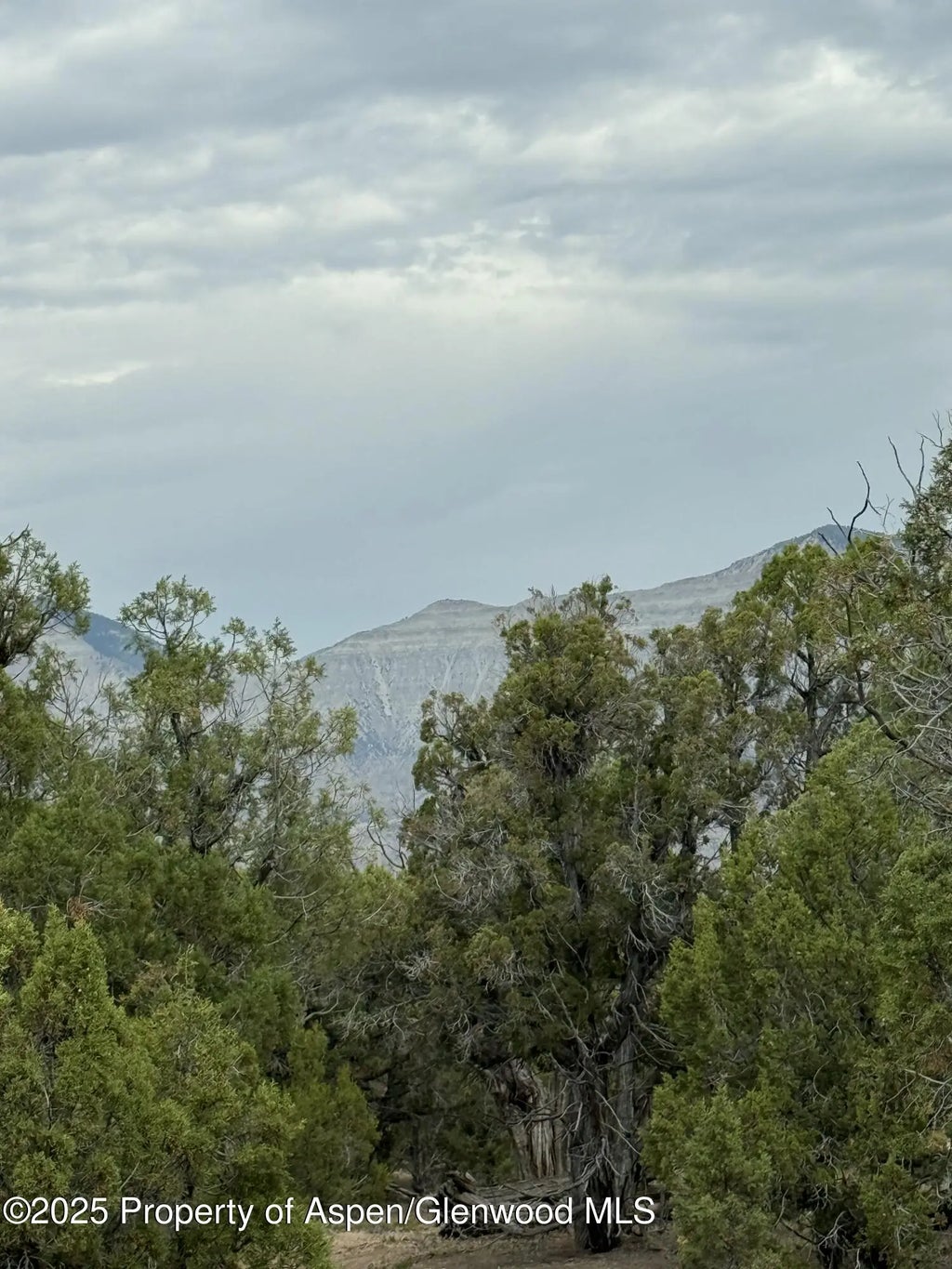 6 of 7 - 2285 Housetop Mountain Road, Parachute, CO