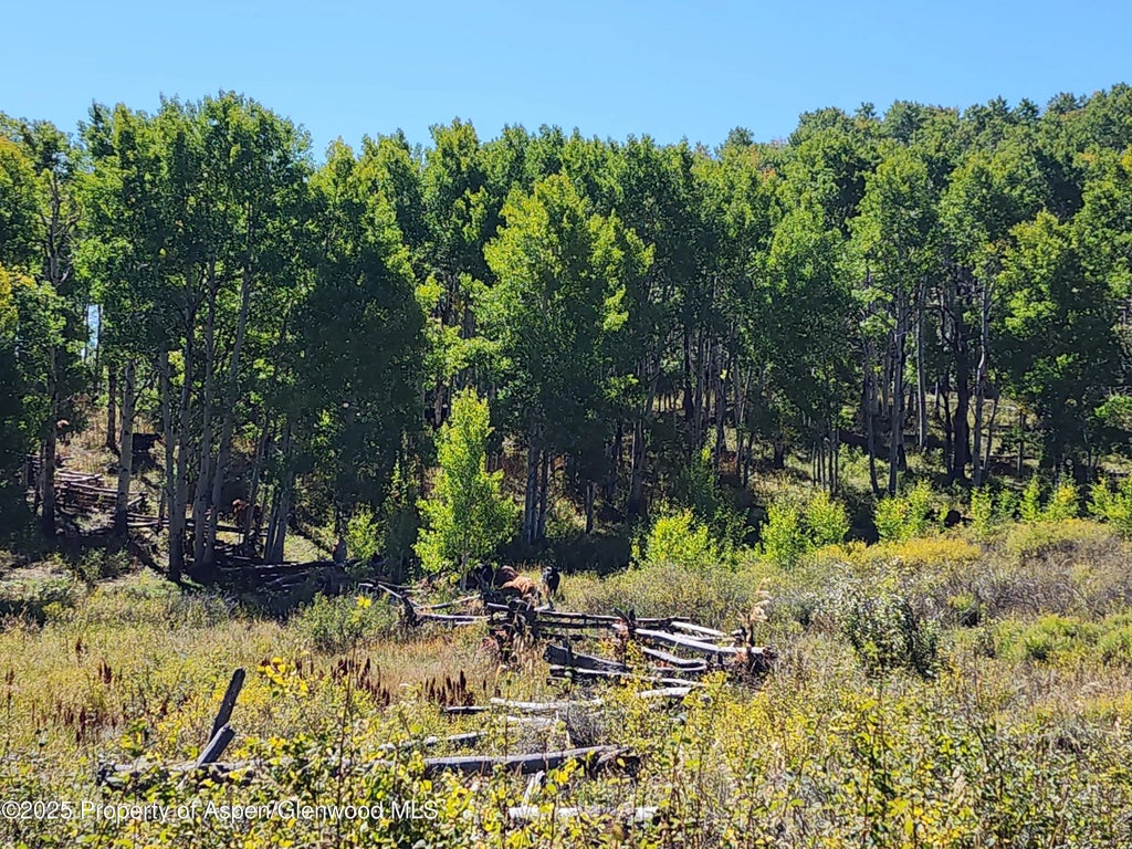 20 of 51 - 2586 26 1/10 Road, Gateway, CO