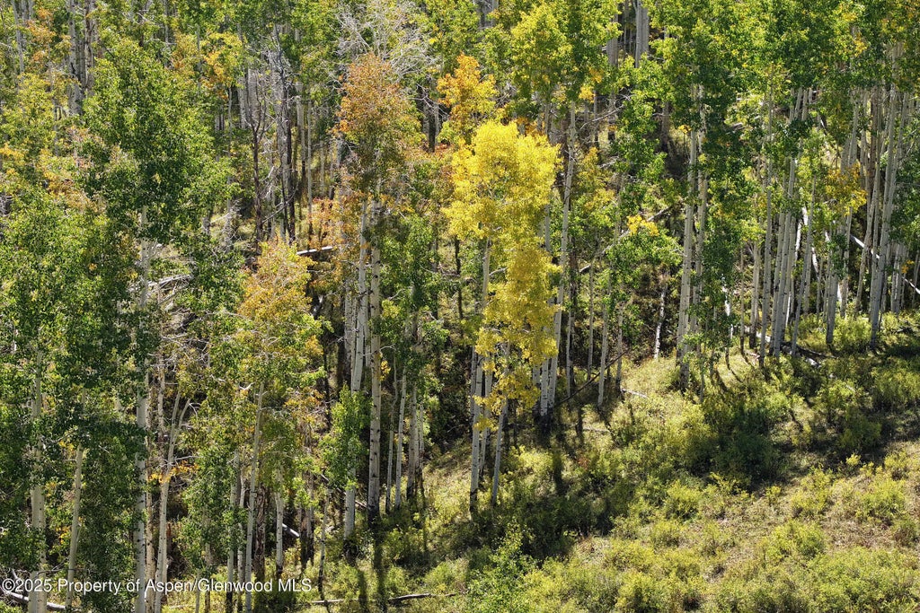 24 of 51 - 2586 26 1/10 Road, Gateway, CO