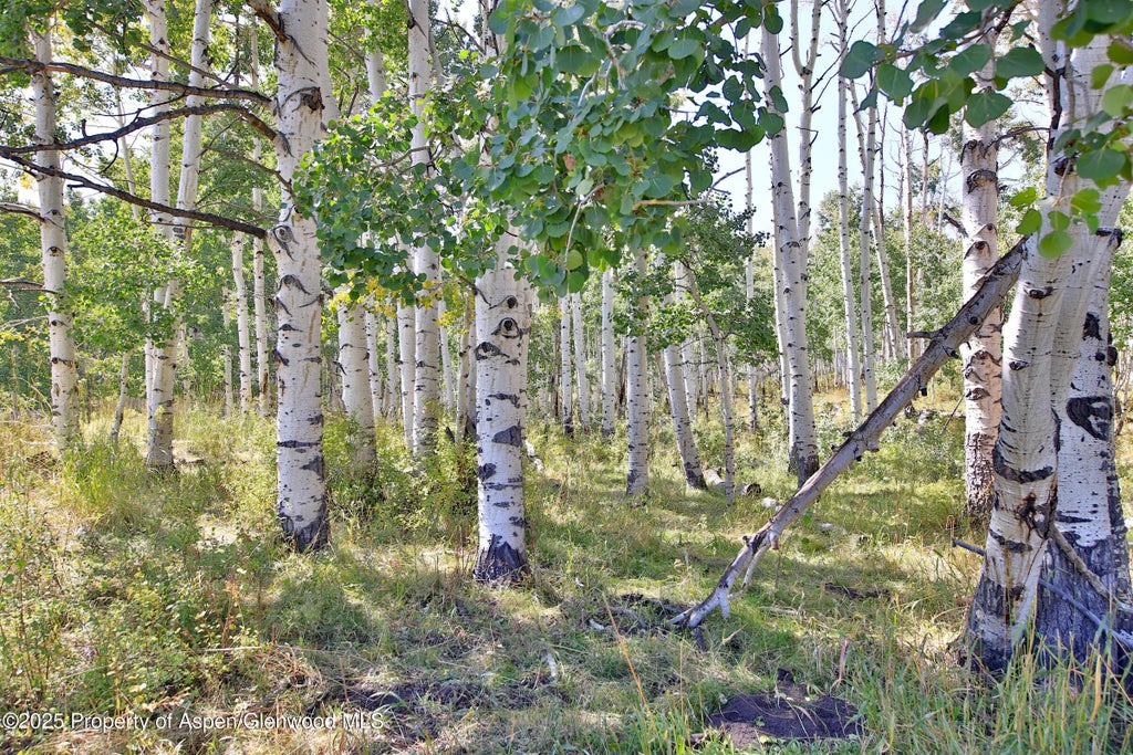43 of 51 - 2586 26 1/10 Road, Gateway, CO