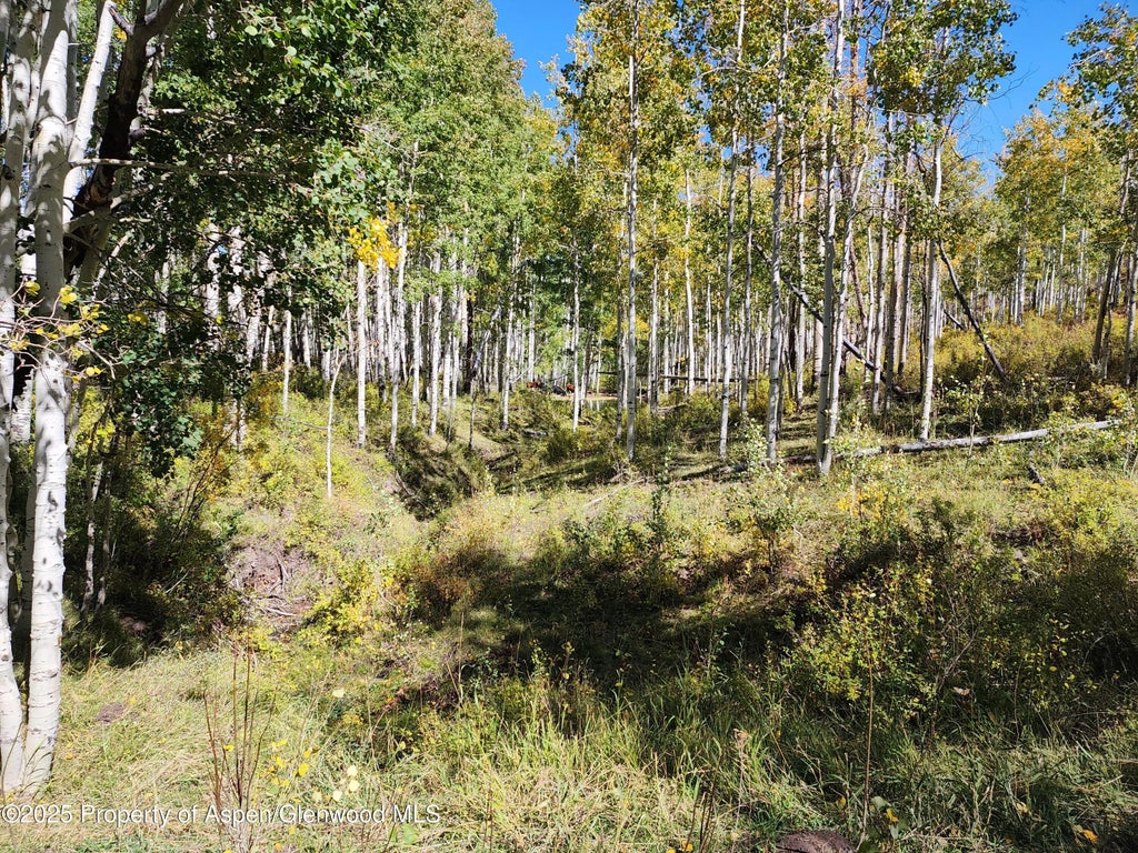 44 of 51 - 2586 26 1/10 Road, Gateway, CO