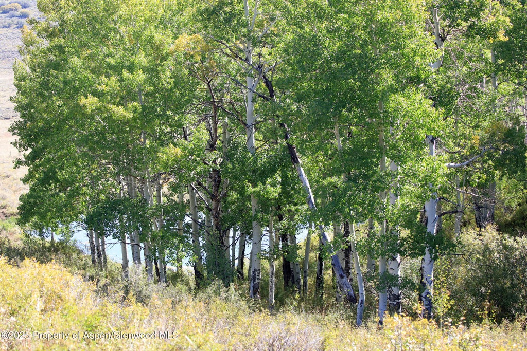 45 of 51 - 2586 26 1/10 Road, Gateway, CO