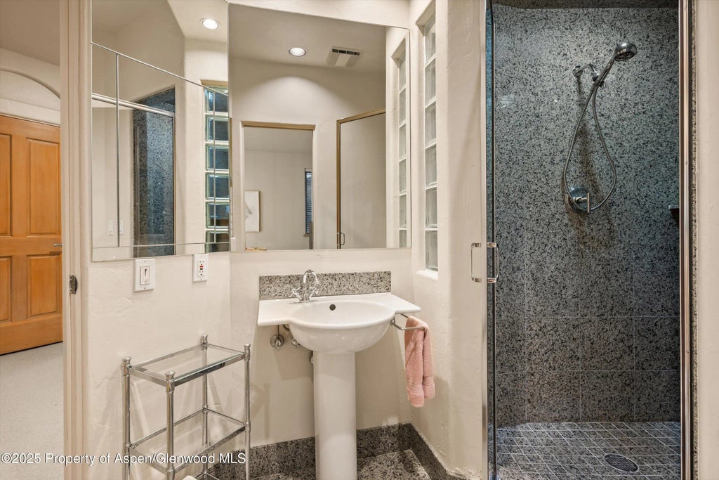23 of 33 - 734 W Smuggler Street, Aspen, CO