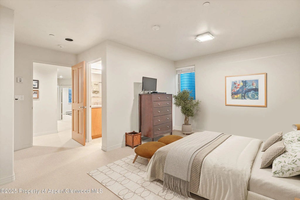 26 of 33 - 734 W Smuggler Street, Aspen, CO