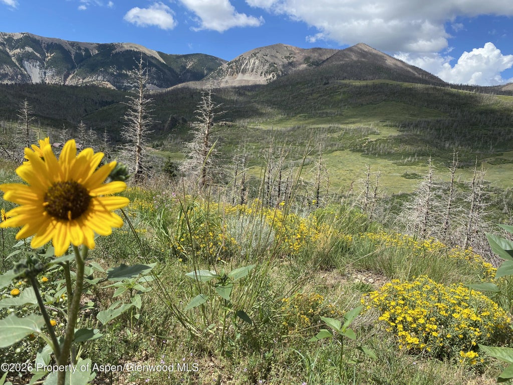 40 of 50 - 1833 Yellowstone Creek Road, La Veta, CO
