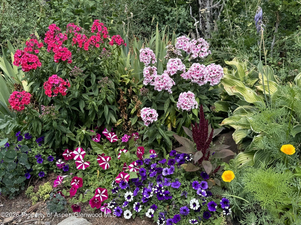 49 of 50 - 1833 Yellowstone Creek Road, La Veta, CO