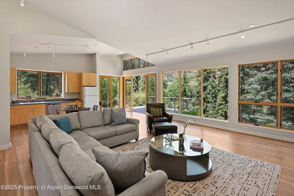 6 of 42 - 768 Kings Lake Road, Basalt, CO