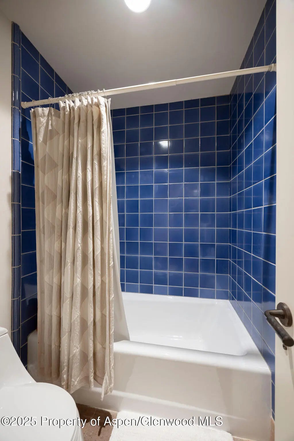 32 of 44 - 109 Neale Avenue, Aspen, CO