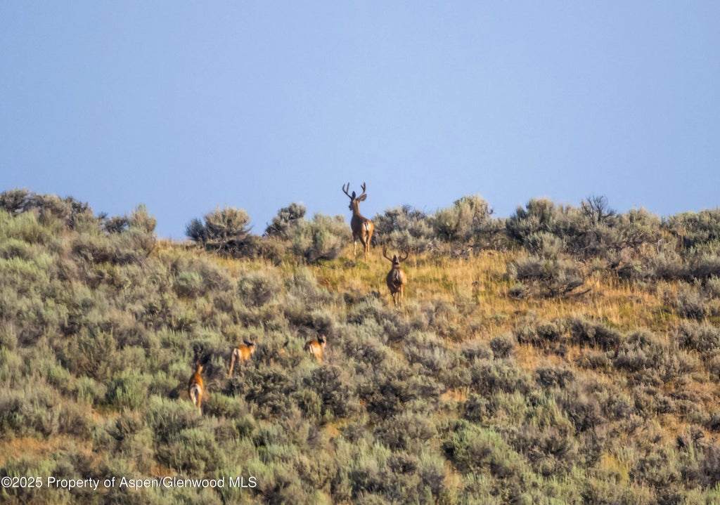 3 of 51 - Tbd Cr 29, Craig, CO