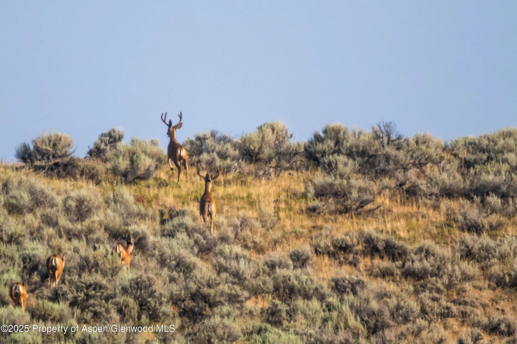 36 of 51 - Tbd Cr 29, Craig, CO