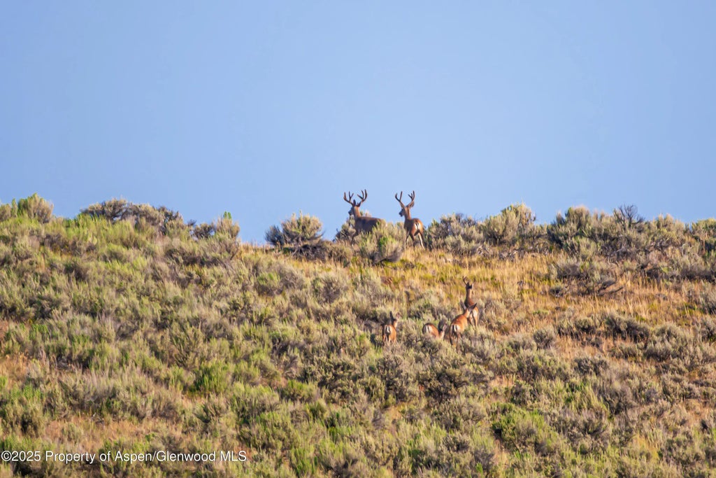 4 of 51 - Tbd Cr 29, Craig, CO