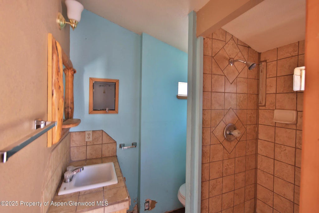 17 of 21 - 57374 Highway 330, Collbran, CO