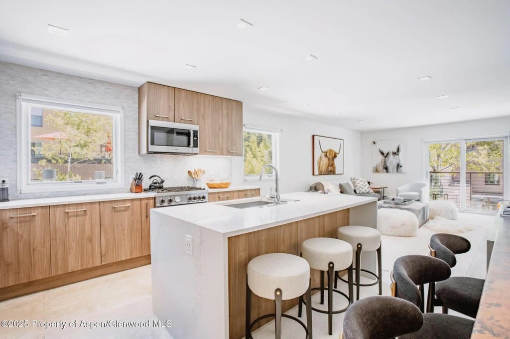 5 of 13 - 210 E Cooper Avenue 3g, Aspen, CO