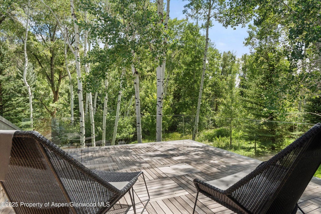 11 of 31 - 1180 Black Birch Drive, Aspen, CO