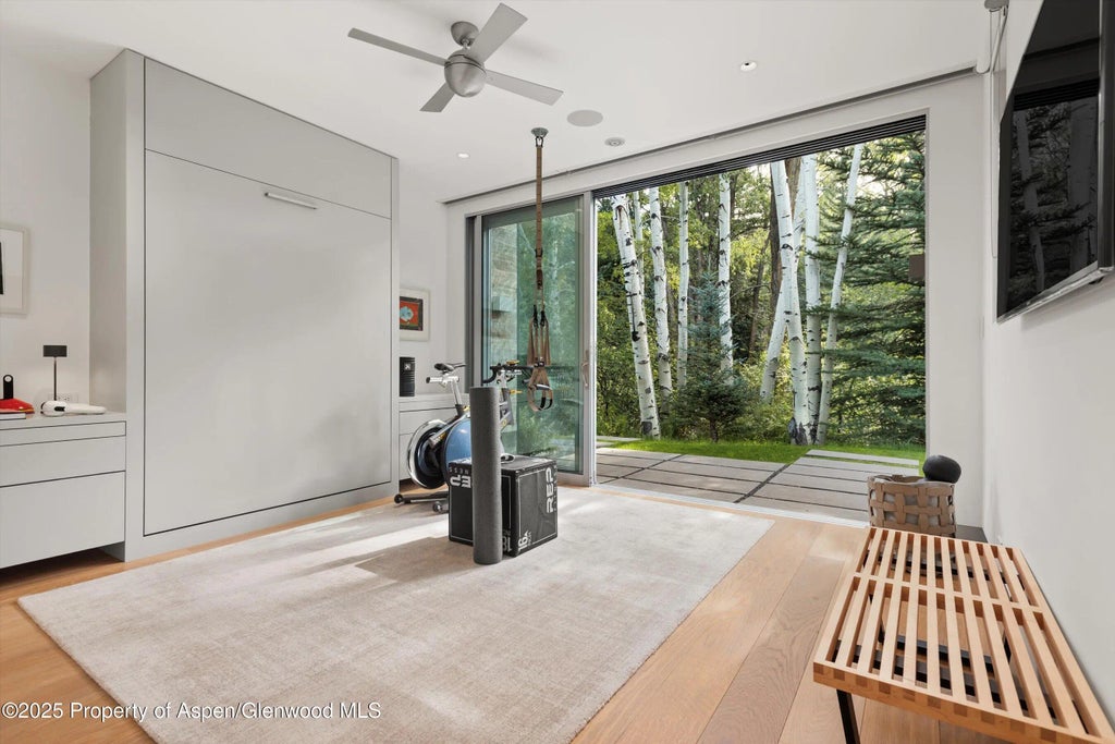 14 of 31 - 1180 Black Birch Drive, Aspen, CO
