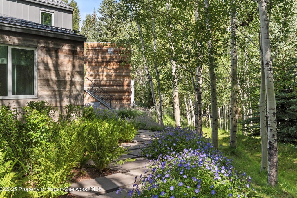 23 of 31 - 1180 Black Birch Drive, Aspen, CO
