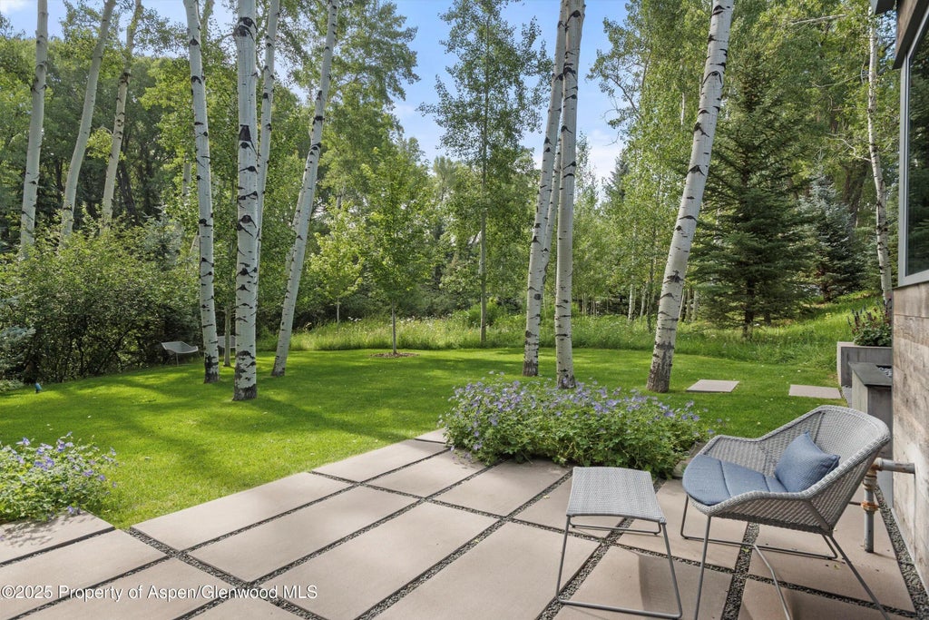 25 of 31 - 1180 Black Birch Drive, Aspen, CO