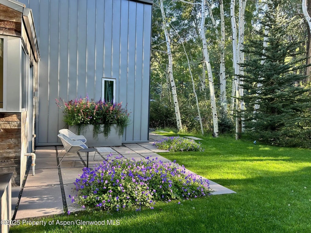 27 of 31 - 1180 Black Birch Drive, Aspen, CO