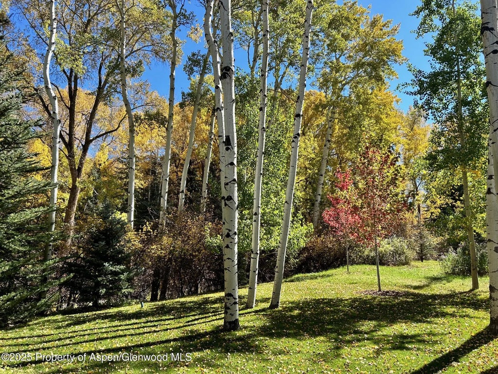 28 of 31 - 1180 Black Birch Drive, Aspen, CO