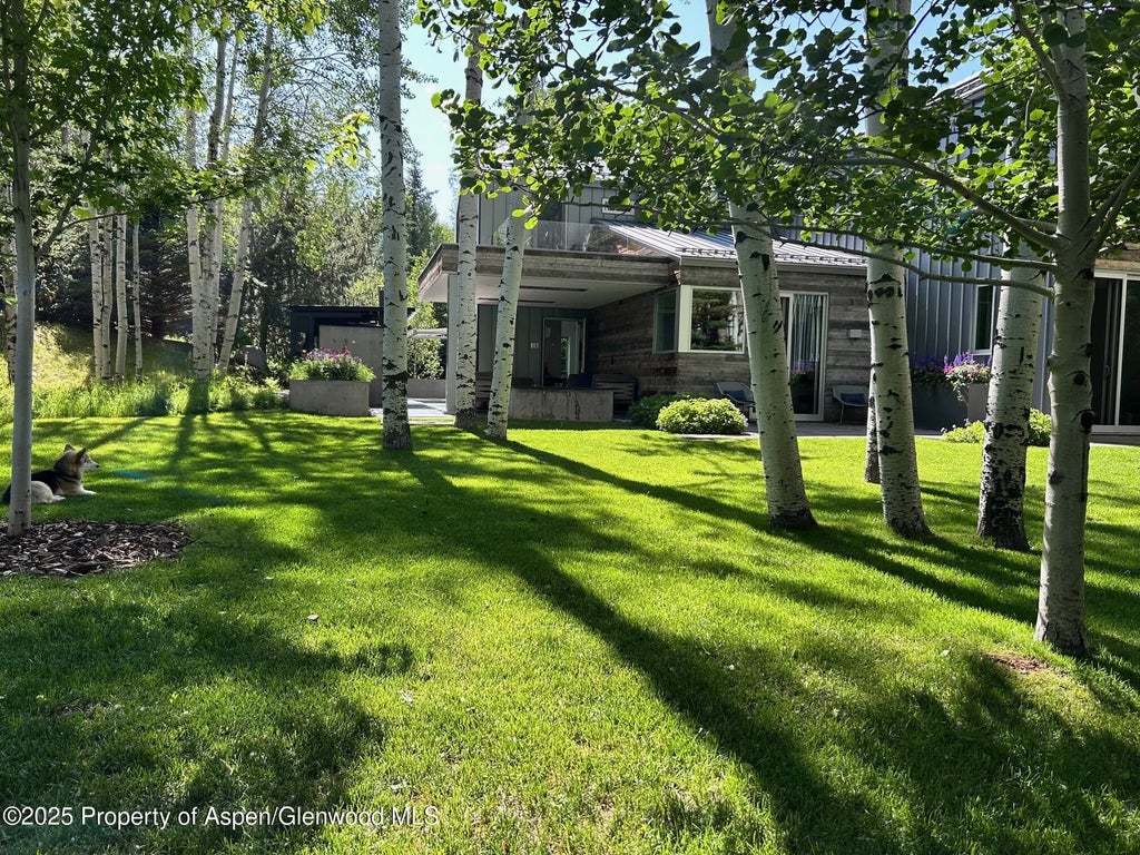 30 of 31 - 1180 Black Birch Drive, Aspen, CO