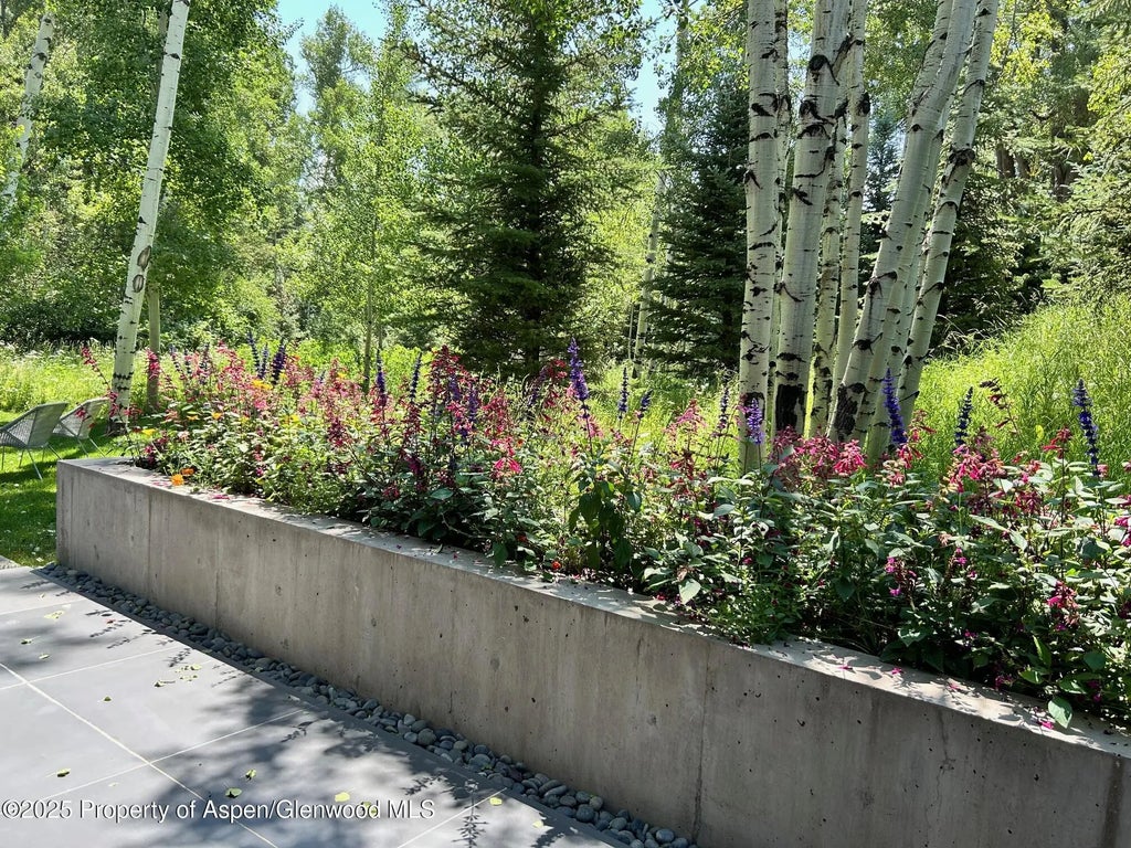 31 of 31 - 1180 Black Birch Drive, Aspen, CO