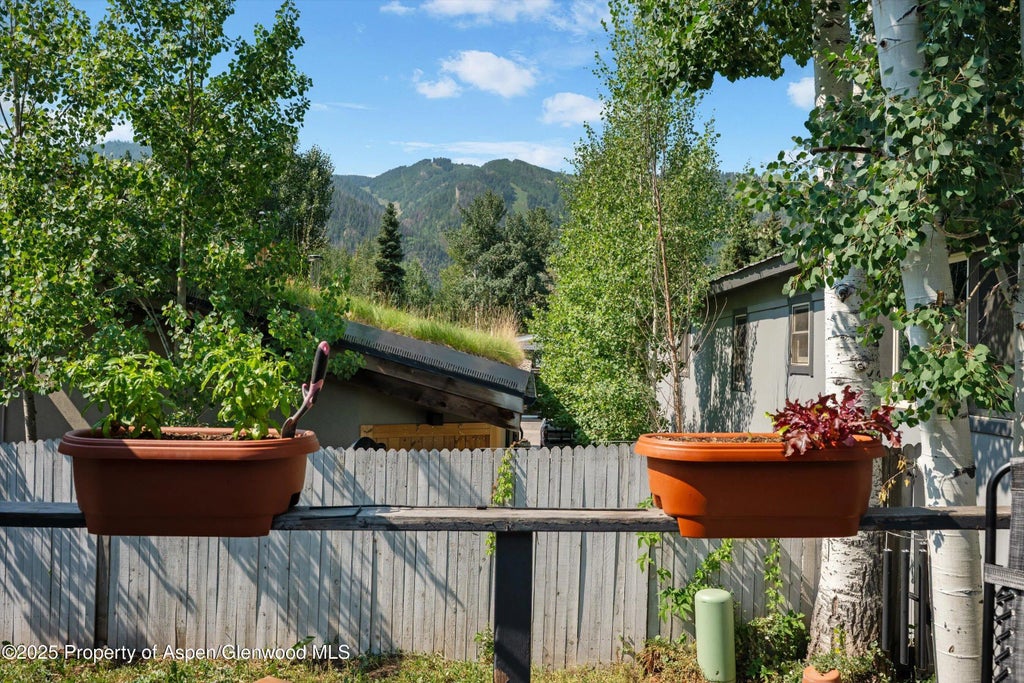 19 of 23 - 306 Oak Lane, Aspen, CO